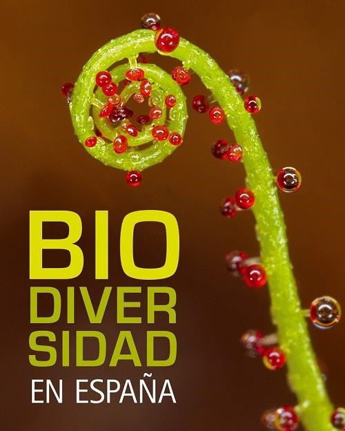 BIODIVERSIDAD EN ESPAÑA | 9788497856317 | ARAUJO, JOAQUIN | Llibreria L'Odissea - Libreria Online de Vilafranca del Penedès - Comprar libros
