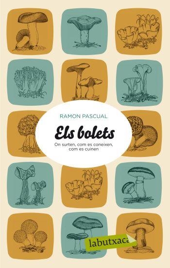 ELS BOLETS | 9788499301501 | PASCUAL, RAMON | Llibreria L'Odissea - Libreria Online de Vilafranca del Penedès - Comprar libros