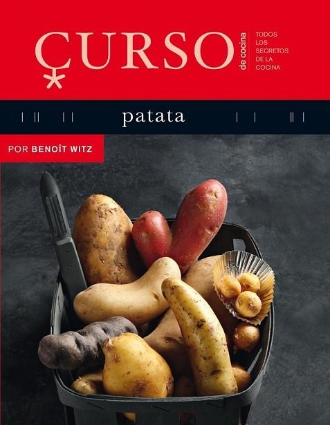 CURSO DE COCINA PATATA | 9788496669611 | WITZ, BENOIT | Llibreria L'Odissea - Libreria Online de Vilafranca del Penedès - Comprar libros