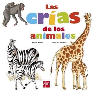 LAS CRIAS DE LOS ANIMALES | 9788467540291 | HEDELIN, PASCALE I HERRBACH, STEPHANE | Llibreria L'Odissea - Libreria Online de Vilafranca del Penedès - Comprar libros