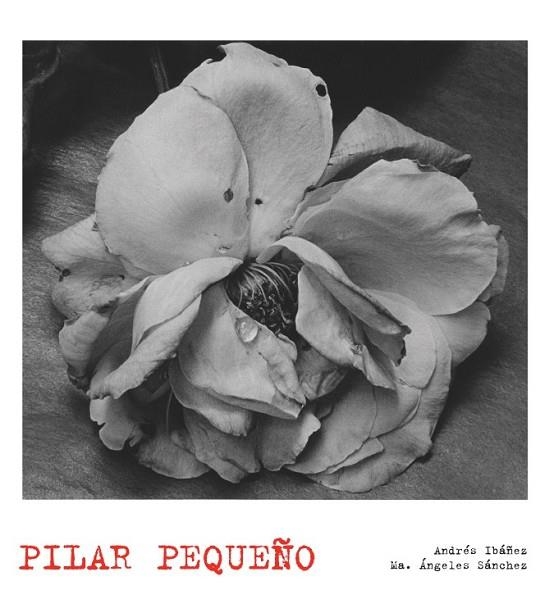 PILAR PEQUEÑO | 9788497856874 | IBAÑEZ, ANDRES Y SANCHEZ, MARIA ANGELES | Llibreria L'Odissea - Libreria Online de Vilafranca del Penedès - Comprar libros