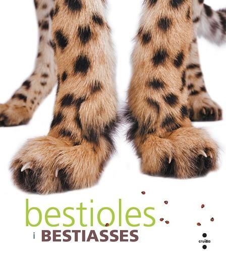 BESTIOLES I BESTIASSES | 9788466127271 | ROMÀ I GARCIA, CORAL | Llibreria Online de Vilafranca del Penedès | Comprar llibres en català