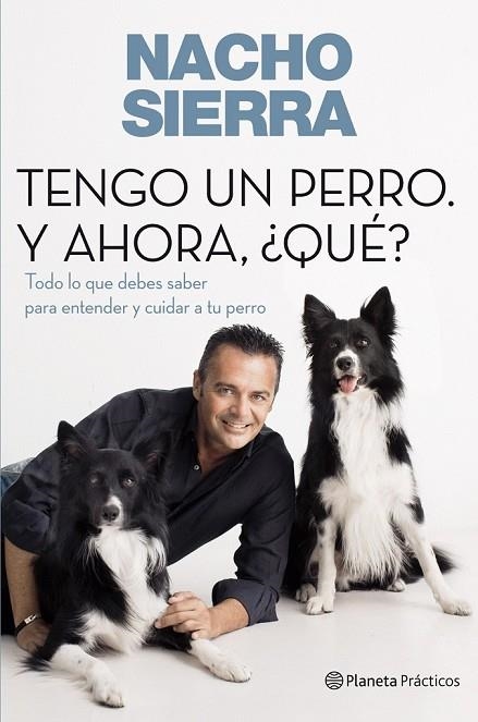 TODO LO QUE DEBES SABER SOBRE TU PERRO | 9788408109228 | SIERRA, NACHO | Llibreria L'Odissea - Libreria Online de Vilafranca del Penedès - Comprar libros