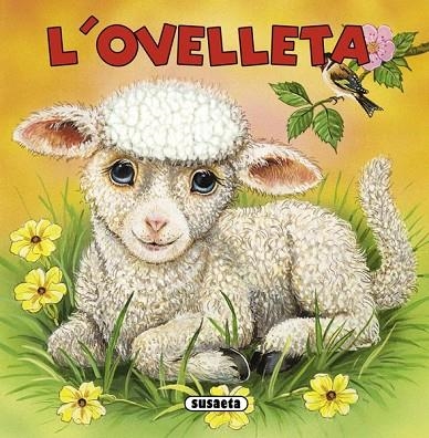 L'OVELLETA | 9788467713879 | AA. VV. | Llibreria L'Odissea - Libreria Online de Vilafranca del Penedès - Comprar libros