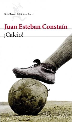 CALCIO | 9788432209604 | ESTEBAN CONSTAIN, JUAN | Llibreria L'Odissea - Libreria Online de Vilafranca del Penedès - Comprar libros