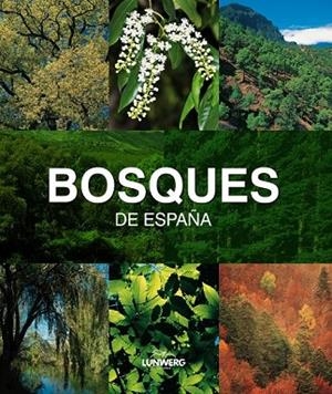 BOSQUES DE ESPAÑA. LUNWERG MEDIUM | 9788497857482 | JOAQUÍN ARAÚJO | Llibreria L'Odissea - Libreria Online de Vilafranca del Penedès - Comprar libros