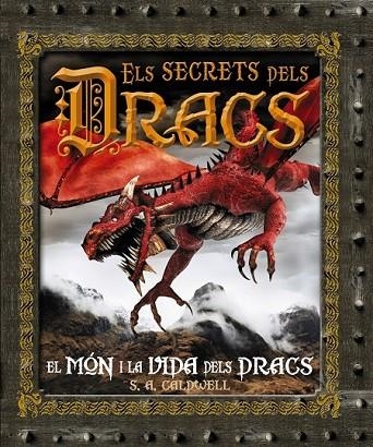 ELS SECRETS DELS DRACS | 9788480169967 | - | Llibreria Online de Vilafranca del Penedès | Comprar llibres en català