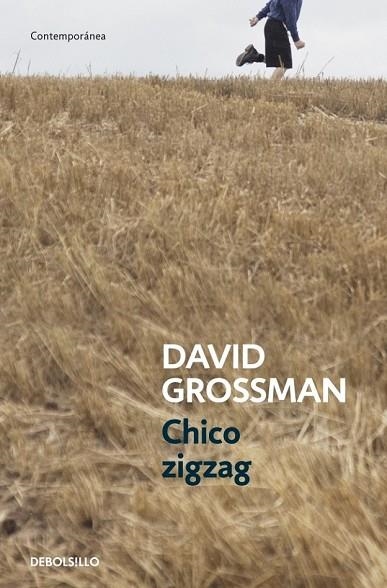 CHICO ZIGZAG | 9788499894805 | GROSSMAN, DAVID | Llibreria Online de Vilafranca del Penedès | Comprar llibres en català