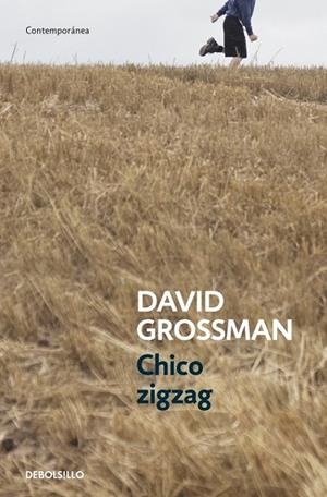 CHICO ZIGZAG | 9788499894805 | GROSSMAN, DAVID | Llibreria Online de Vilafranca del Penedès | Comprar llibres en català