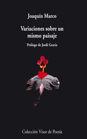 VARIACIONES SOBRE UN MISMO PAISAJE | 9788498958102 | MARCO, JOAQUIN | Llibreria L'Odissea - Libreria Online de Vilafranca del Penedès - Comprar libros