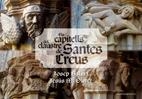 ELS CAPITELLS DEL CLAUSTRE DE SANTES CREUS | 9788497913386 | AAVV | Llibreria Online de Vilafranca del Penedès | Comprar llibres en català