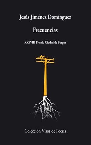 FRECUENCIAS | 9788498958133 | JIMENEZ DOMINGUEZ, JESUS | Llibreria L'Odissea - Libreria Online de Vilafranca del Penedès - Comprar libros