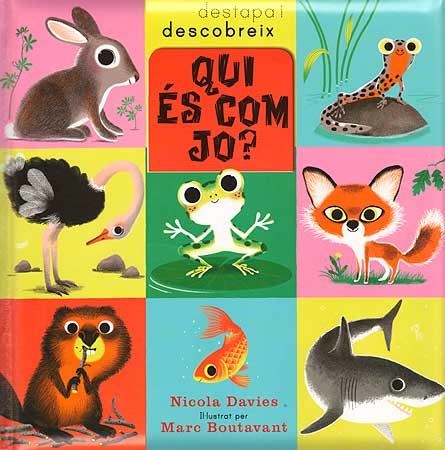 QUI ÉS COM JO? | 9788426139108 | DAVIES, NICOLA | Llibreria L'Odissea - Libreria Online de Vilafranca del Penedès - Comprar libros