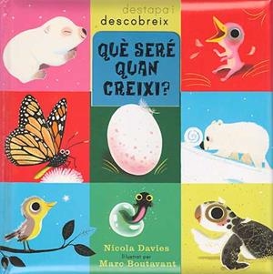 QUÈ SERÉ QUAN CREIXI? | 9788426139085 | DAVIES, NICOLA | Llibreria L'Odissea - Libreria Online de Vilafranca del Penedès - Comprar libros