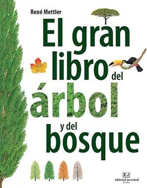 EL GRAN LIBRO DEL ÁRBOL Y DEL BOSQUE | 9788426139399 | METTLER, RENÉ (1942- ) | Llibreria L'Odissea - Libreria Online de Vilafranca del Penedès - Comprar libros