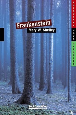FRANKENSTEIN | 9788448930387 | SHELLEY, MARY | Llibreria L'Odissea - Libreria Online de Vilafranca del Penedès - Comprar libros