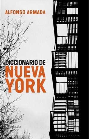 DICCIONARIO DE NUEVA YORK | 9788483079041 | ARMADA, ALFONSO | Llibreria Online de Vilafranca del Penedès | Comprar llibres en català