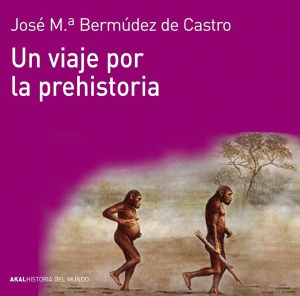 UN VIAJE POR LA PREHISTORIA | 9788446037736 | BERMÚDEZ, JOSÉ MARÍA | Llibreria L'Odissea - Libreria Online de Vilafranca del Penedès - Comprar libros