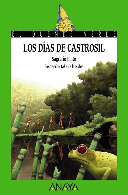 LOS DÍAS DE CASTROSIL | 9788467840636 | PINTO, SAGRARIO | Llibreria L'Odissea - Libreria Online de Vilafranca del Penedès - Comprar libros
