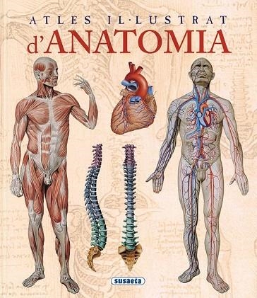ATLES IL.LUSTRAT D'ANATOMIA | 9788467702101 | AA. VV. | Llibreria Online de Vilafranca del Penedès | Comprar llibres en català