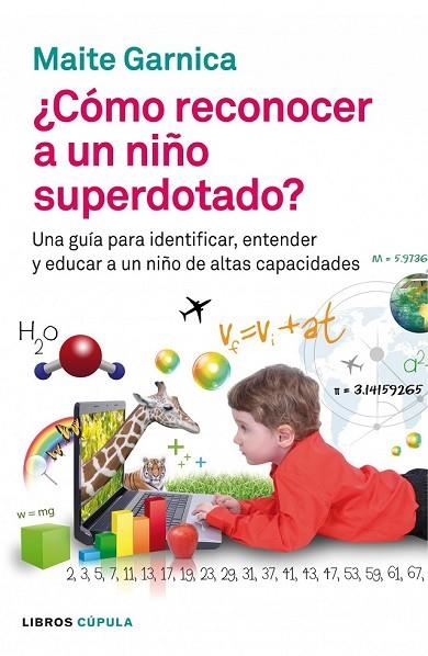 CÓMO RECONOCER A UN NIÑO SUPERDOTADO | 9788448008598 | GARNICA, MAITE | Llibreria L'Odissea - Libreria Online de Vilafranca del Penedès - Comprar libros