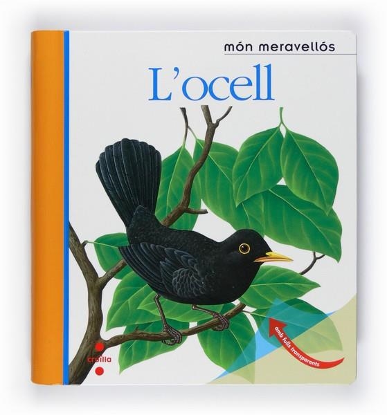 L'OCELL | 9788466125161 | DELAFOSSE, CLAUDE I METLLER, RENE | Llibreria Online de Vilafranca del Penedès | Comprar llibres en català