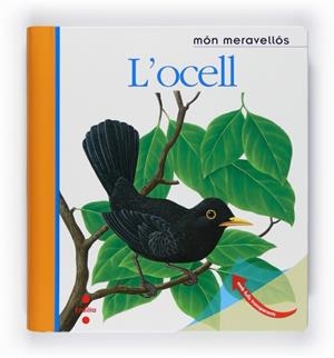L'OCELL | 9788466125161 | DELAFOSSE, CLAUDE I METLLER, RENE | Llibreria L'Odissea - Libreria Online de Vilafranca del Penedès - Comprar libros