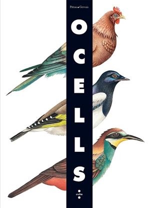 OCELLS (DESPLEGABLE) | 9788466126243 | GERVAIS, PITTAU | Llibreria Online de Vilafranca del Penedès | Comprar llibres en català
