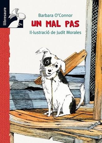 UN MAL PAS | 9788479428228 | O'CONNOR, BARBARA | Llibreria L'Odissea - Libreria Online de Vilafranca del Penedès - Comprar libros