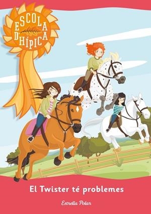 EL TWISTER TÉ PROBLEMES | 9788415790709 | VIDAL, NORA | Llibreria Online de Vilafranca del Penedès | Comprar llibres en català