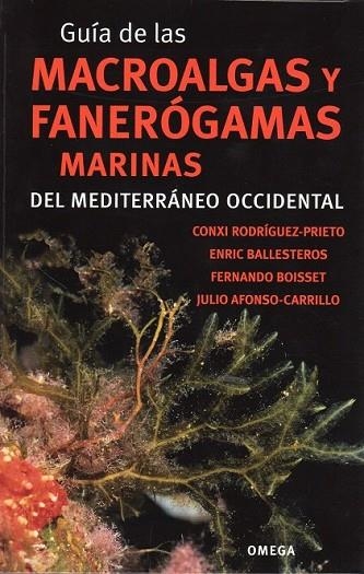 GUÍA DE LAS MACROALGAS Y FANERÓGAMAS MARINAS DEL MEDITERRANEO OCCIDENTAL | 9788428215923 | AA. VV. | Llibreria L'Odissea - Libreria Online de Vilafranca del Penedès - Comprar libros