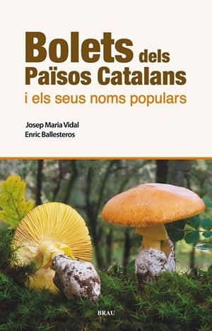 BOLETS DELS PAÏSOS CATALANS I ELS SEUS NOMS POPULARS | 9788496905986 | VIDAL, JOSEP MARIA / BALLESTEROS, ENRIC | Llibreria L'Odissea - Libreria Online de Vilafranca del Penedès - Comprar libros