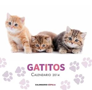 CALENDARIO GATITOS 2014 | 9788448011680 | AA. VV. | Llibreria Online de Vilafranca del Penedès | Comprar llibres en català