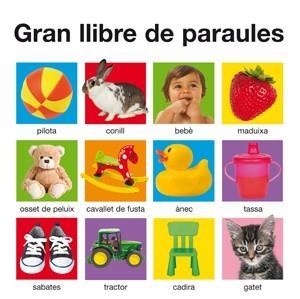 GRAN LLIBRE DE PARAULES | 9788424646547 | PRIDDY, ROGER | Llibreria L'Odissea - Libreria Online de Vilafranca del Penedès - Comprar libros