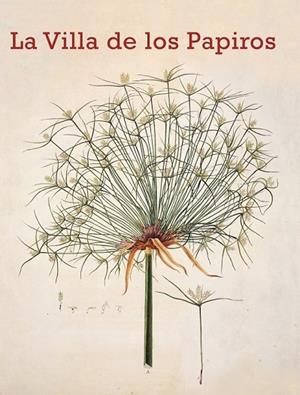 LA VILLA DE LOS PAPIROS | 9788415888260 | AA. VV. | Llibreria L'Odissea - Libreria Online de Vilafranca del Penedès - Comprar libros