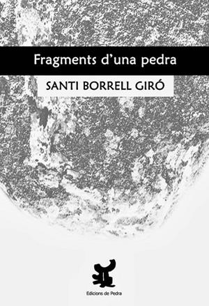 FRAGMENTS D'UNA PEDRA | 9788461658404 | BORRELL, SANTI | Llibreria Online de Vilafranca del Penedès | Comprar llibres en català