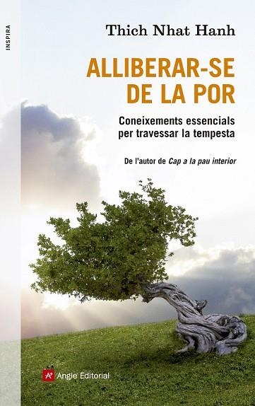 ALLIBERAR-SE DE LA POR | 9788415695523 | NHAT HANH, THICH | Llibreria L'Odissea - Libreria Online de Vilafranca del Penedès - Comprar libros