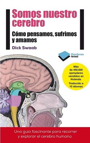 SOMOS NUESTRO CEREBRO | 9788415880769 | SWAAB, DICK | Llibreria Online de Vilafranca del Penedès | Comprar llibres en català