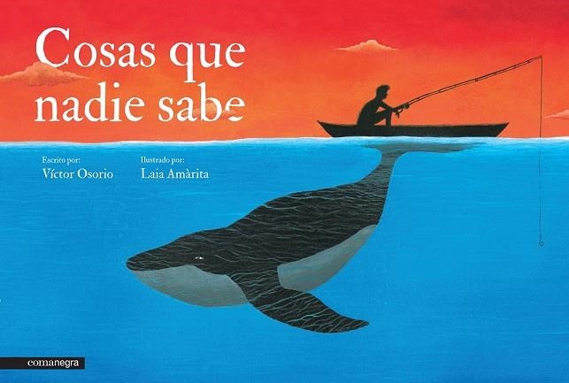 COSAS QUE NADIE SABE | 9788416033089 | OSORIO, VÍCTOR / AMÀRITA, LAIA | Llibreria L'Odissea - Libreria Online de Vilafranca del Penedès - Comprar libros