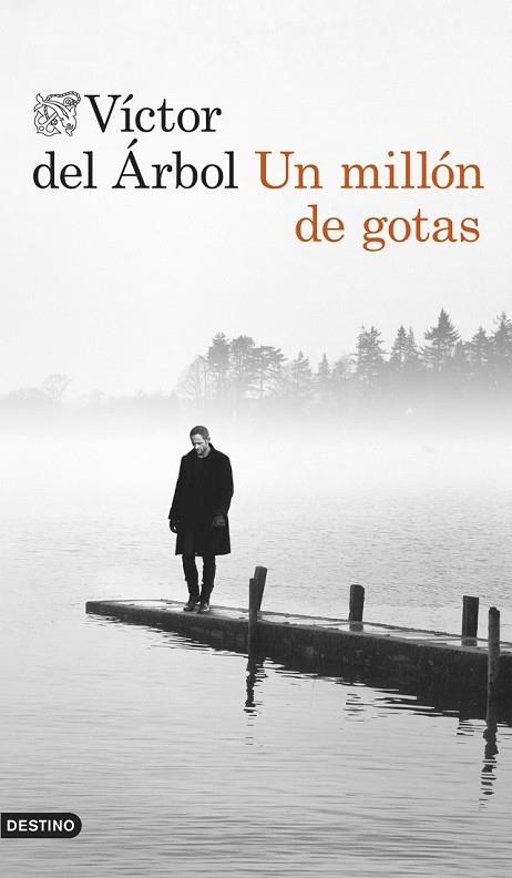 UN MILLÓN DE GOTAS | 9788423348138 | DEL ARBOL, VICTOR | Llibreria L'Odissea - Libreria Online de Vilafranca del Penedès - Comprar libros