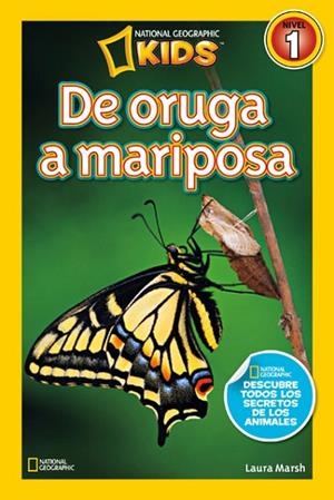 DE ORUGA A MARIPOSA | 9788482985619 | MARSH, LAURA | Llibreria L'Odissea - Libreria Online de Vilafranca del Penedès - Comprar libros
