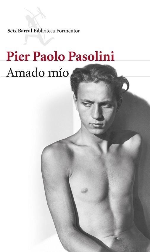 AMADO MÍO | 9788432222870 | PASOLINI, PIER PAOLO  | Llibreria L'Odissea - Libreria Online de Vilafranca del Penedès - Comprar libros