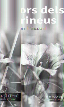 FLORS DELS PIRINEUS | 9788490342503 | PASCUAL, RAMON | Llibreria L'Odissea - Libreria Online de Vilafranca del Penedès - Comprar libros