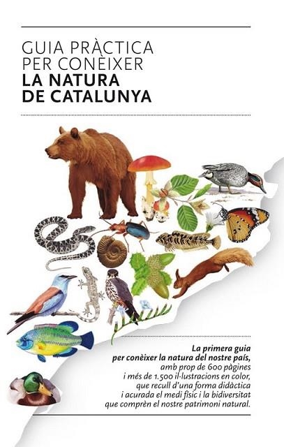 GUIA PRÀCTICA PER CONÈIXER LA NATURA DE CATALUNYA | 9788493662141 | AAVV | Llibreria L'Odissea - Libreria Online de Vilafranca del Penedès - Comprar libros