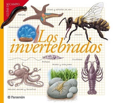 LOS INVERTEBRADOS | 9788434240599 | BARRES MANUEL, JOSEP M. | Llibreria L'Odissea - Libreria Online de Vilafranca del Penedès - Comprar libros