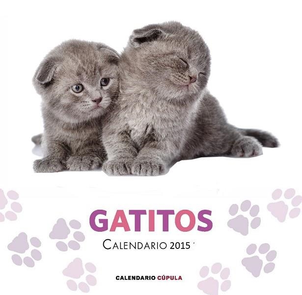 CALENDARIO GATITOS 2015 | 9788448019730 | AA. VV. | Llibreria L'Odissea - Libreria Online de Vilafranca del Penedès - Comprar libros