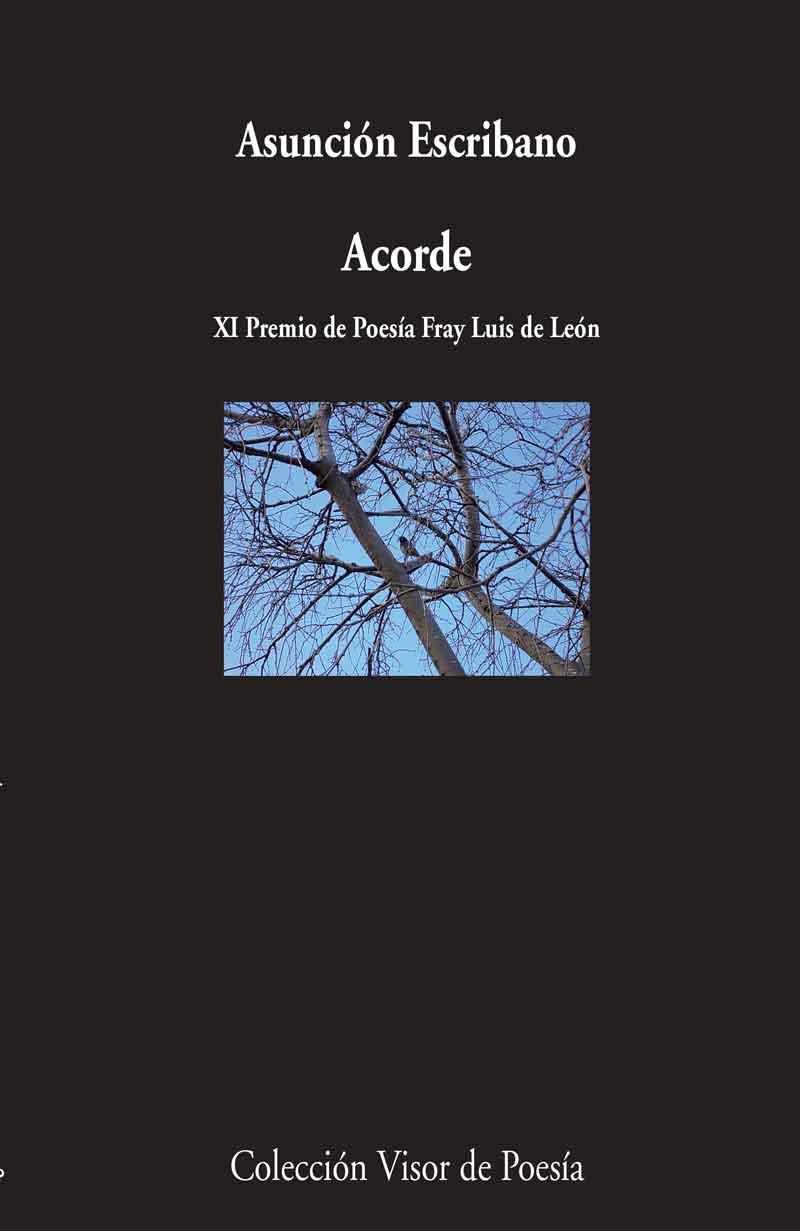 ACORDE | 9788498958881 | ESCRIBANO, ASUNCIÓN | Llibreria L'Odissea - Libreria Online de Vilafranca del Penedès - Comprar libros