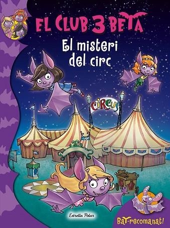 EL MISTERI DEL CIRC 9 | 9788490576632 | PAVANELLO, ROBERTO | Llibreria Online de Vilafranca del Penedès | Comprar llibres en català