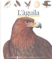 L'AGUILA | 9788476298220 | N.FONT | Llibreria L'Odissea - Libreria Online de Vilafranca del Penedès - Comprar libros