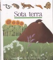 SOTA TERRA | 9788476295243 | GALLIMARD JEUNESSE, ÉDITIONS | Llibreria Online de Vilafranca del Penedès | Comprar llibres en català